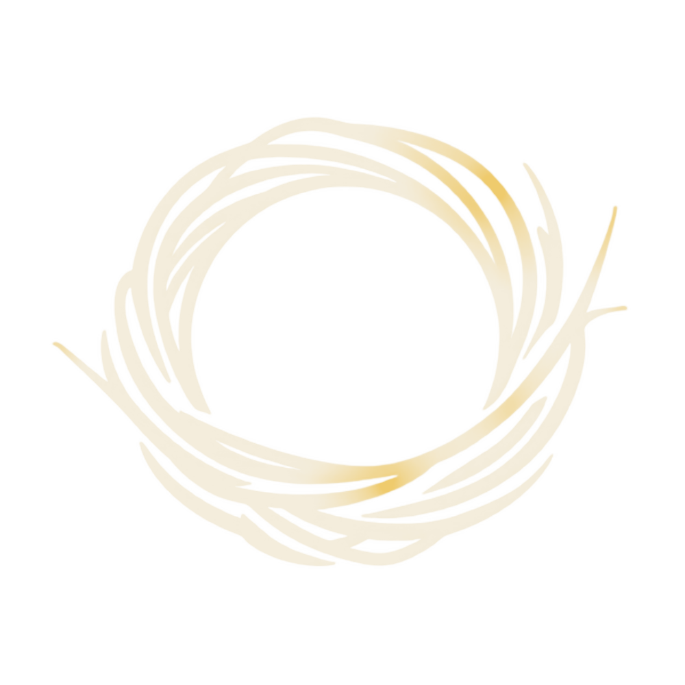 Logo Nestario — gniazdo splecione z obiektywem